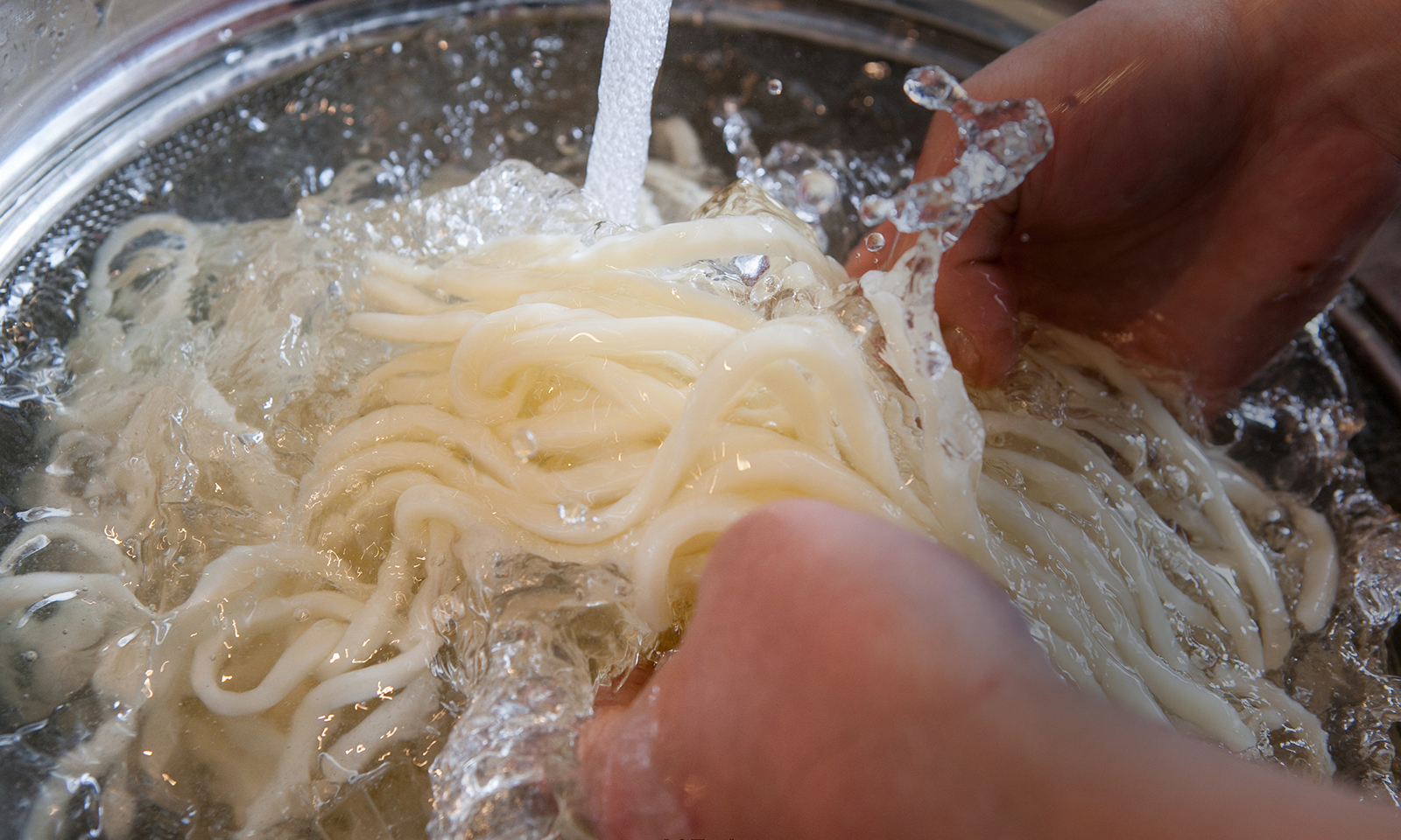 うどん