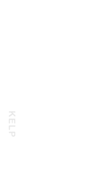 一、昆布